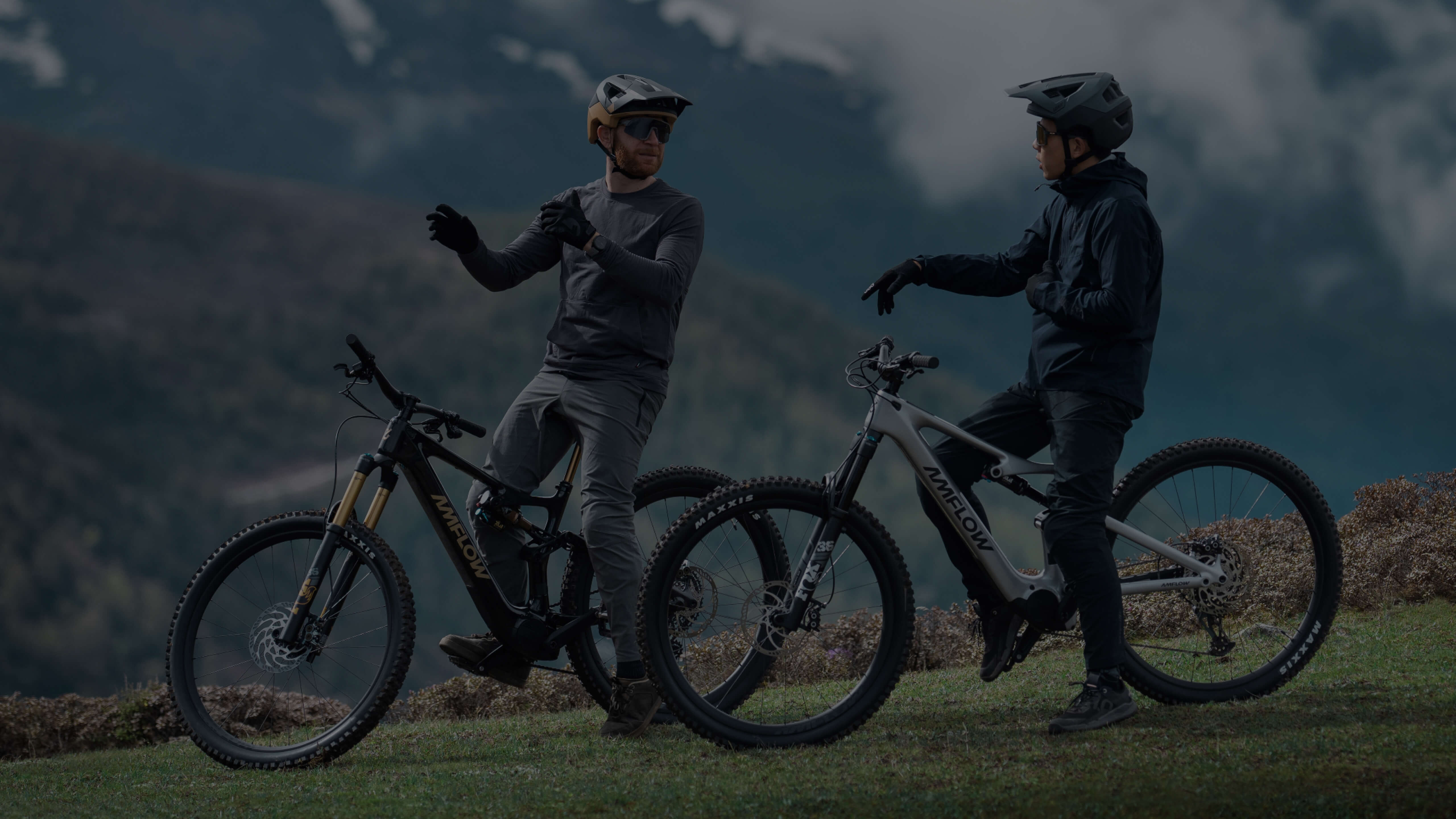 eMTB | Amflow Bikes (United States)