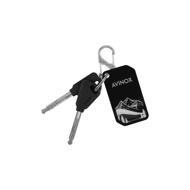 Avinox Battery Lock Key